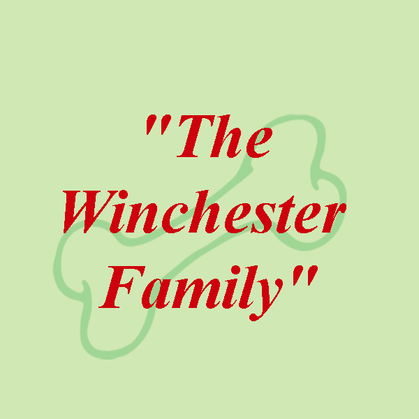 The Winchester Family